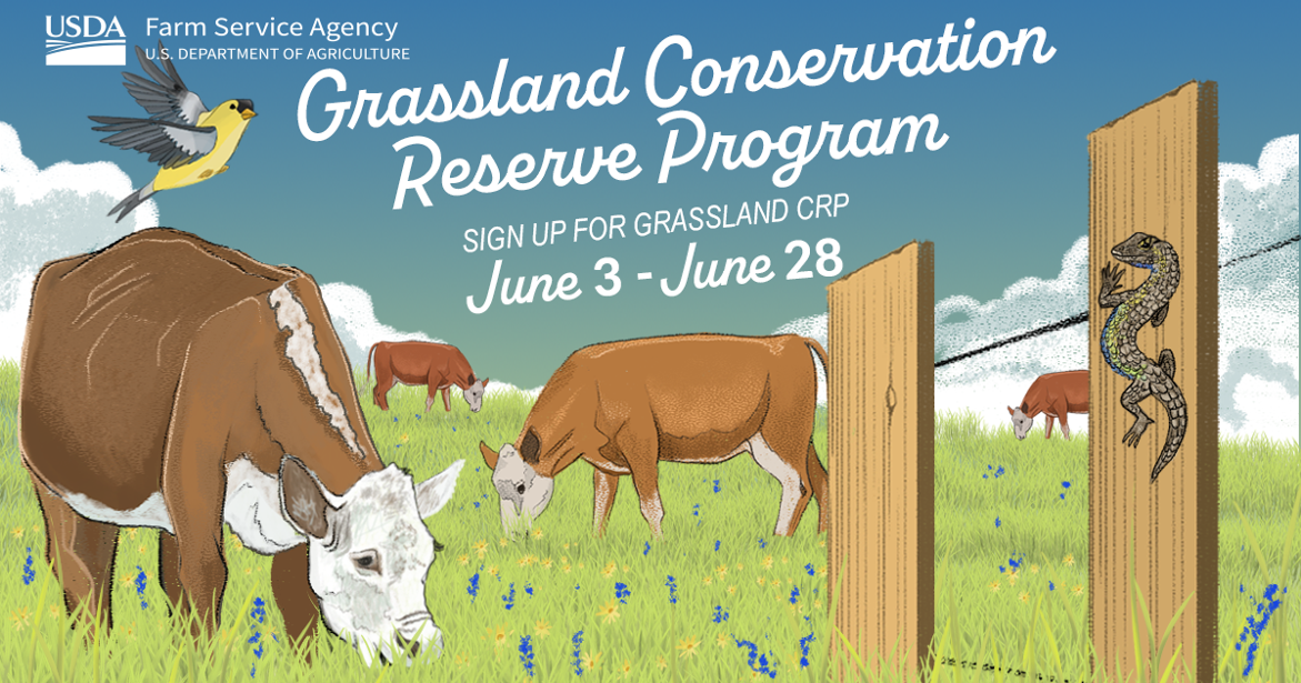 FSA Grassland CRP 2024